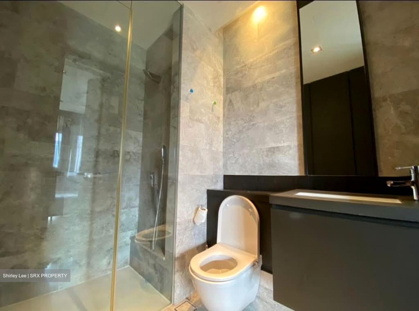 OUE Twin Peaks (D9), Condominium #577550501